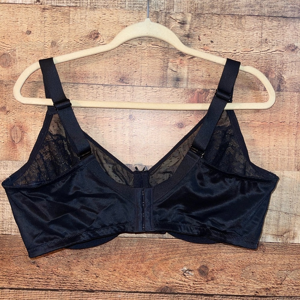 HSIA Enchante Unlined Lace Underwire Bra - Picture 7 of 10